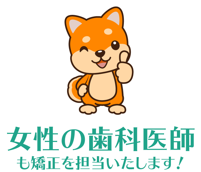 女性の歯科医師も矯正を担当します